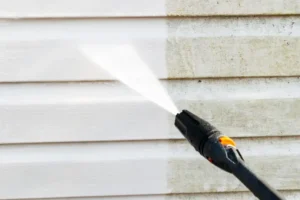 Pressure Cleaning & Power Washing